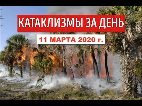 Катаклизмы за день