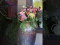 Lake Wildwood Restaurant & Bar Easter Decorations 🐣🌷🐇 #lakelife #gatedcommunity #pennvalley