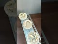 dental furnace #dentallab #dental #dentalcare #zirconiacrown