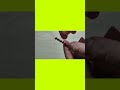 Hexagon I Magnet I Magnetism I #shorts I #ytshorts I #youtubeshorts