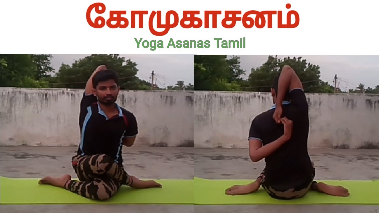 Gomukhasana Tamil Gomukhasana Tamil