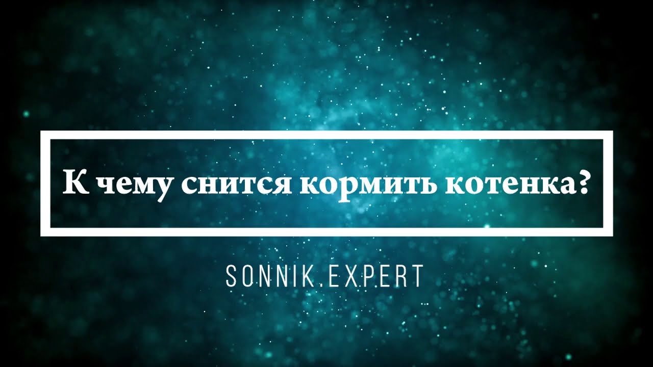 К чему снится кормить котенка - Онлайн Сонник Эксперт