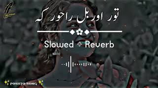 Tor orbal Ra khor ka [slow+reverb] TikTok Viral song 2022
