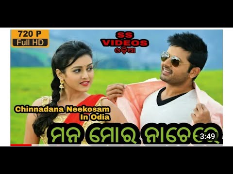 Mana Mora NachereHD Video Song Nithin Reddy Odia Dubbed Video Song HD Video Song Nithin