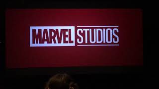 Proof there is no Avengers Endgame End Credits Scene