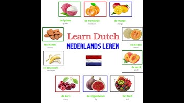 learn dutch