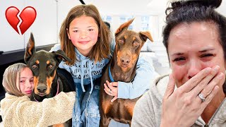 SAYING goodbye to our DOGS *very emotional*