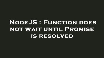 NodeJS : Function does not wait until Promise is resolved