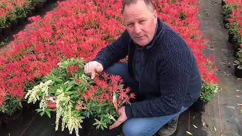 660d2b1f fe8d 42e4 a799 aa76aff5cadc