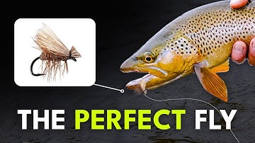 Match the Hatch — Fly Selection Tips Every Angler Needs to Know | Episode 2