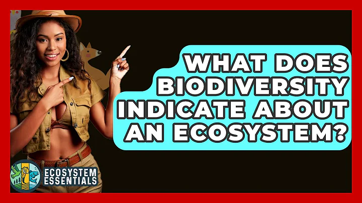 What Does Biodiversity Indicate About An Ecosystem? - Ecosystem Essentials