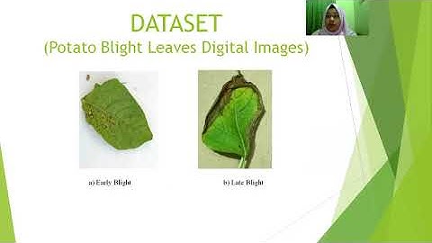 My first Video presentation in International Conference publisher IEEE  2022(‎@sentdex  )