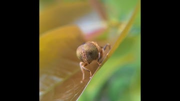 Tutorial edit photos with Adobe Photoshop Express