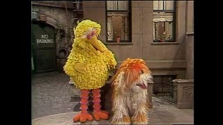 Sesame Street 1330 Big Bird Walks Barkley 1979