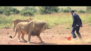 A world's first: Kevin Richardson playing football with wild lions