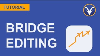 Interactive Bridge Editing