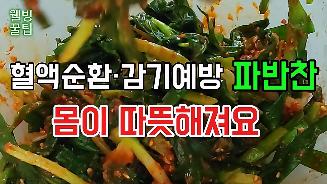 실파 100g으로 만드는 건강 반찬｜혈액순환·면역력에 좋은 실파 무침 실파무침 #실파요리 #파무침 #건강반찬 #집밥반찬 #속편한 ...