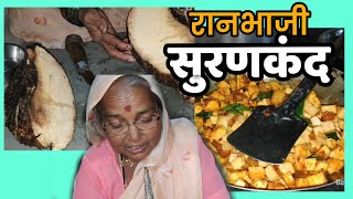 रनभज - सरण सरणकदच रनभज Ranbhaji Gavakadache Vlog