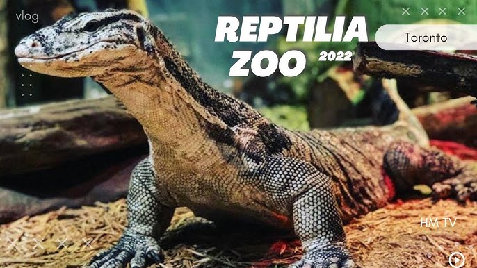 Reptilia Vaughan Map
