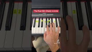 The Real Slim Shady easy Piano tutorial