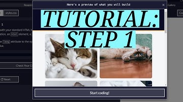 freeCodeCamp | CSS Flexbox Photo Gallery: Step 1