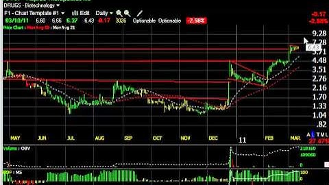 ANIK, PKT, SGI, ARMH, TZA -- Stock Charts -- Harry Boxer, TheTechTrader.com