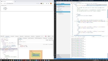 17 HTML Fieldsets Legends and Radiobuttons