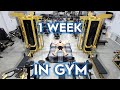 Living 1 week straight in gym challenge