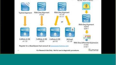 RNA Sequencing: Part III - Introduction to Analysis