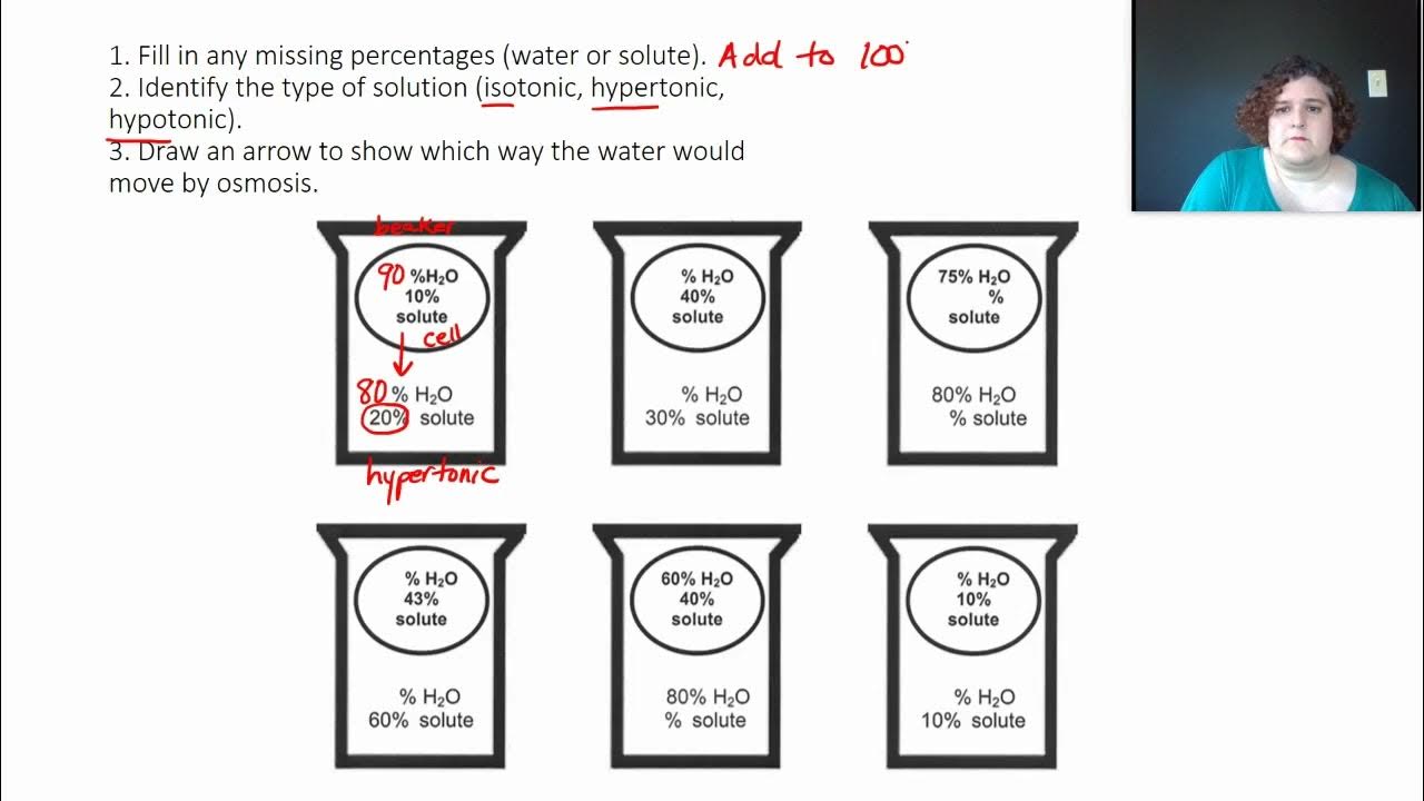 Osmosis Practice Problems YouTube