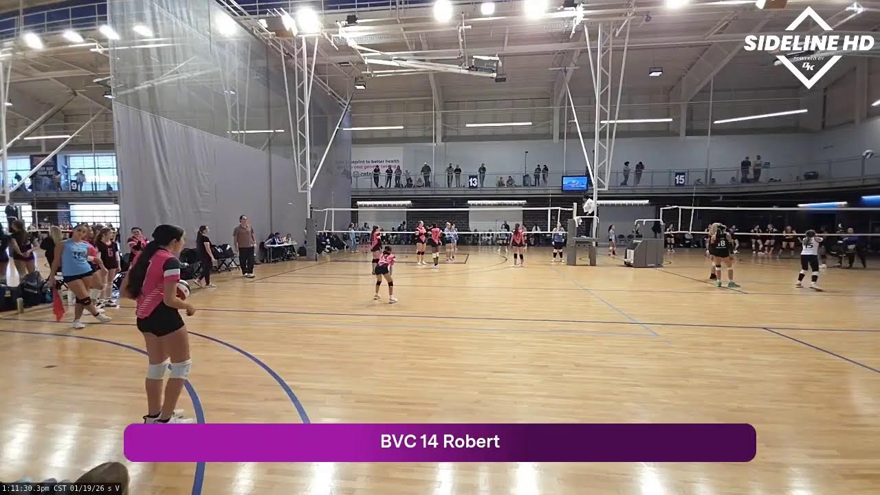 BVC 14 Robert (2026.01.19)