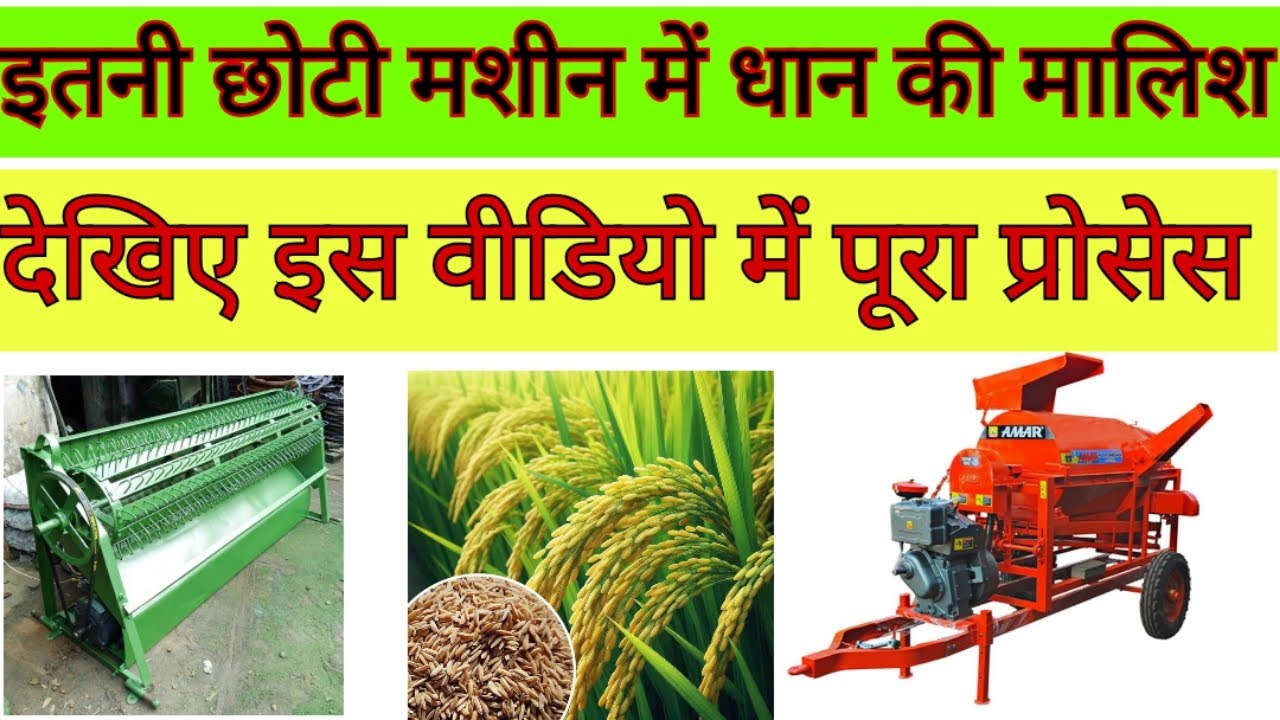 धान मालिश मशीन का काम कैसे करता है? Village Paddy Cleaning
