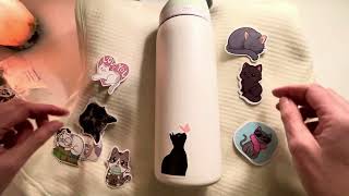 Putting Cat Stickers on a Water Bottle and Chat - ASMR Soft Spoken screenshot 2