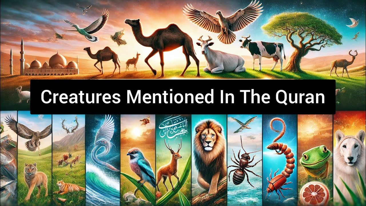 Creatures Mentioned In The Quran| Animals in the Holy Quran with ...