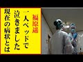 福原遥の現在!今現在の様子がヤバすぎる・・・