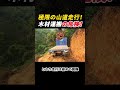 極限の山道走行! 木材運搬の危険! #林業 #トラック #危険運転 #山道 #木材輸送
