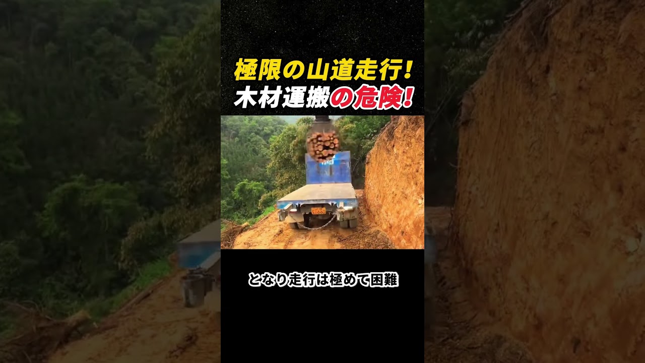 極限の山道走行! 木材運搬の危険! #林業 #トラック #危険運転 #山道 #木材輸送