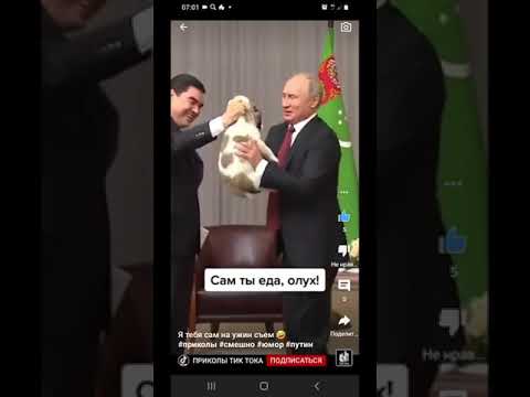 Путин и щенок