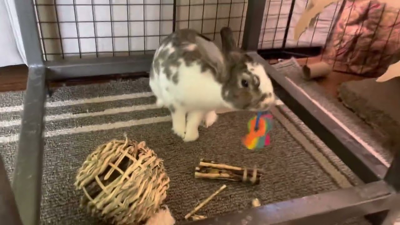 Everest loves baby keys