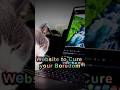 Website to cure boredom instantly — You Will Never Be Bored Again #shortspakistan #windows #trending