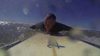 Sharks singing Jaws and surfer
