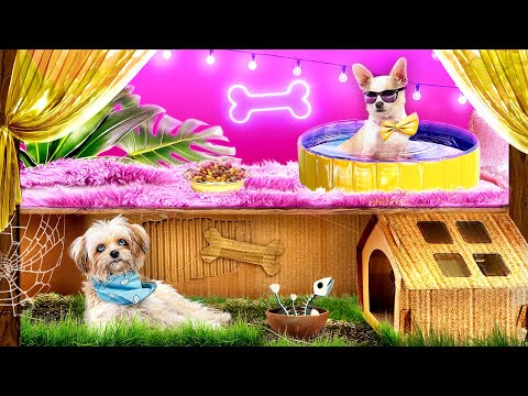 Video: 5 DIY Ev Yapımı Köpek Köpeğinizin Için Deli Olacak Davranır