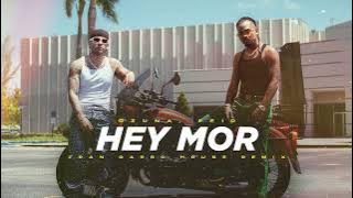 Ozuna, Feid - Hey Mor (House Remix) | Fran Garro