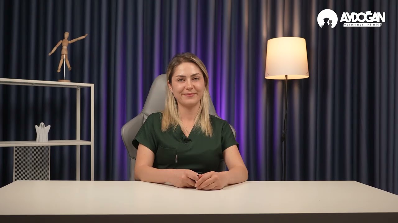 Üriner ve Boşaltım Sistemi Nedir ?