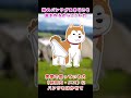 【2ch面白いスレ】姉のパンツがあまりにも盗まれるからこうした【2chショート】 #Shorts