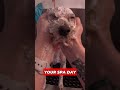 Building Trust with Every Groom