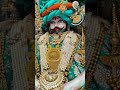 #खाटू वाले श्याम बाबा मेरे sir पर हमेशा हाथ रखना बाबा #