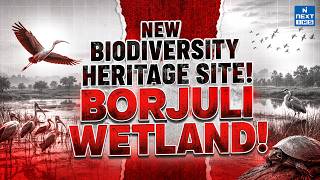 Borjuli Wetland: Assam's Hidden Ecological Treasure | Ramsar Site in the Making? | NEXT IAS