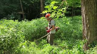 Husqvarna 553RS Brushcutter/ fűkasza in the jungle