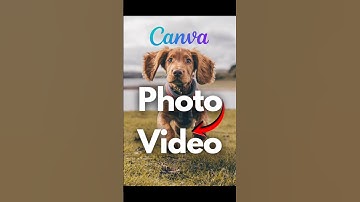 Turn Image to Video in Canva (Canva AI)